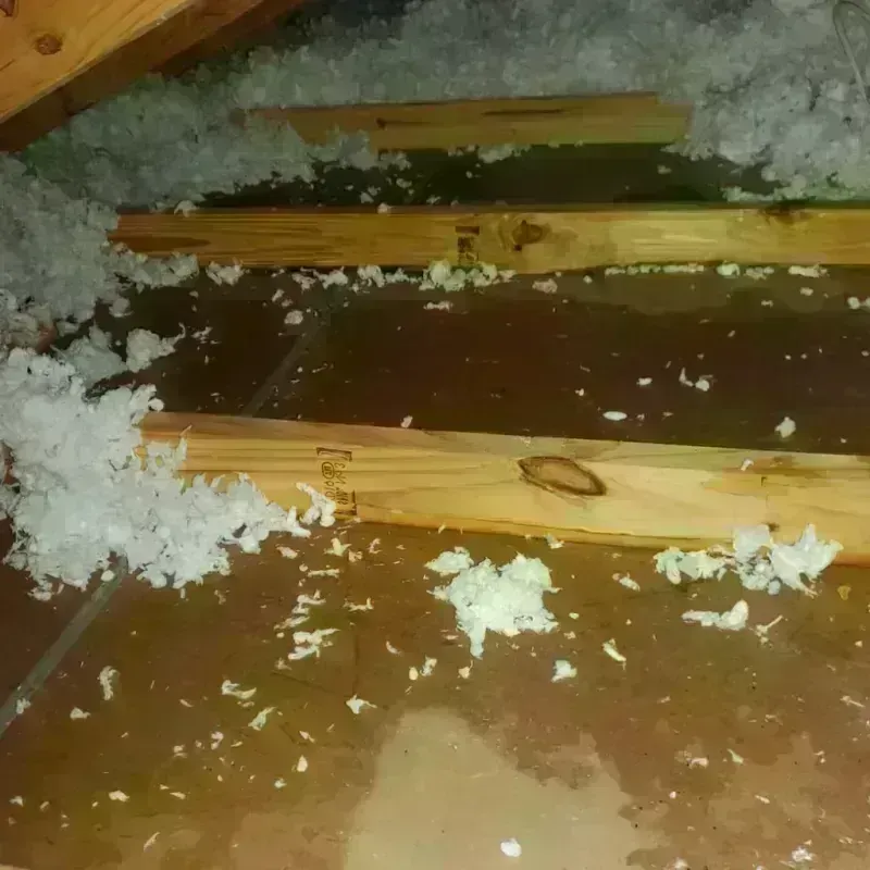 Attic Water Damage in Kingman, KS