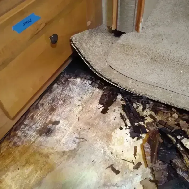 Wood Floor Water Damage in Kingman, KS